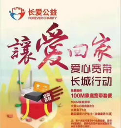 数字时代的基石 光纤宽带、网络维护与布线及平面设计的协同作用